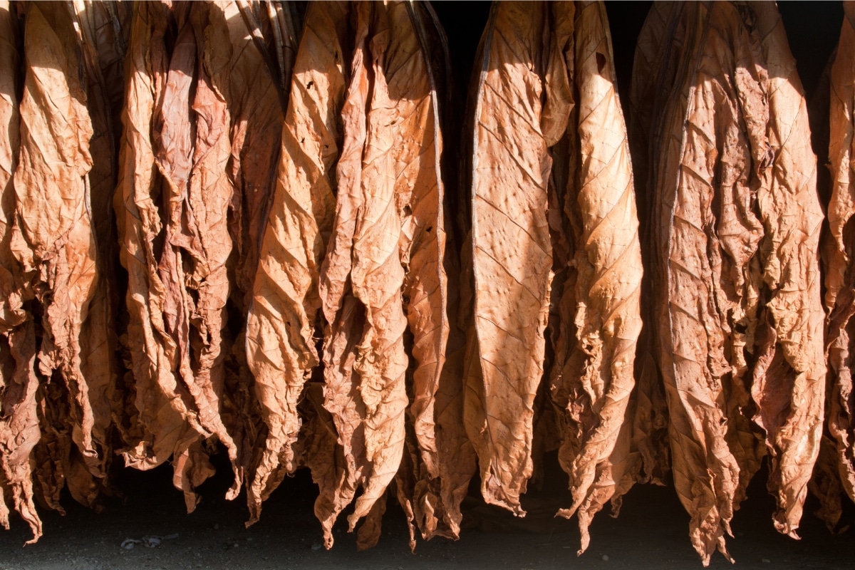 why choose naturally extracted eliquid